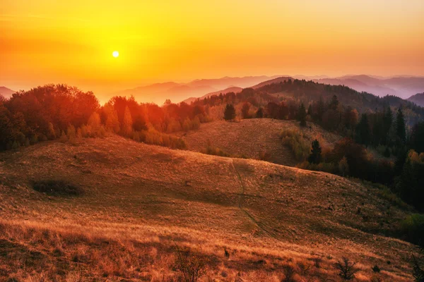 Fantastické slunečné kopci zářící ve slunečním světle. Karpatská, Ukrajina — Stock fotografie
