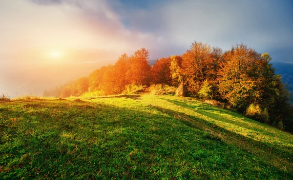 Fantastische sonnige Hügel, die vom Sonnenlicht erleuchtet werden. Karpaten, Ukraine, — Stockfoto