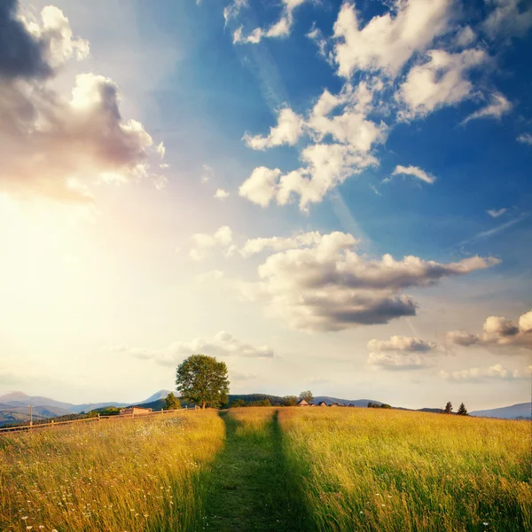 Harika güneşli gün dağ manzarası var. Karpat