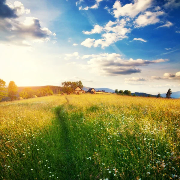 Fantastic sunny day is in mountain landscape. Carpathian — Stock Photo, Image