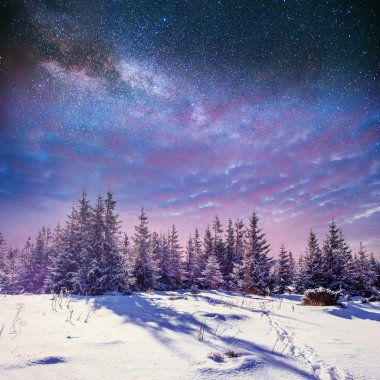 yıldızlı gökyüzü kış karlı gecede. fantastik Samanyolu 