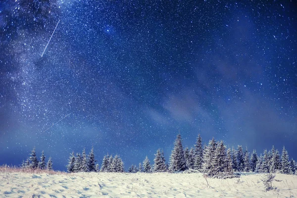 Mleczne Star Trek Lesie Zimą — Zdjęcie stockowe