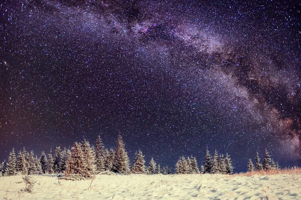 Latteria Star Trek Nei Boschi Invernali — Foto Stock