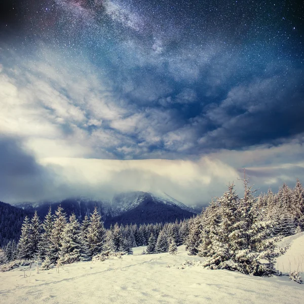 Starry sky in winter snowy night. Carpathians, Ukraine, Europe — Stock Photo, Image