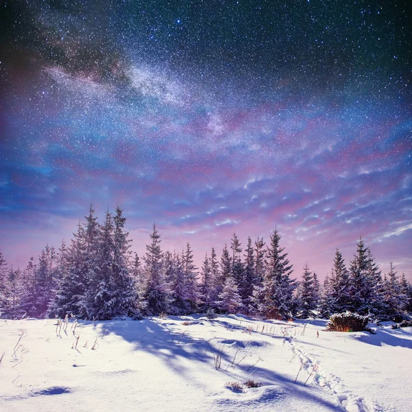 starry sky in winter snowy night. fantastic milky way