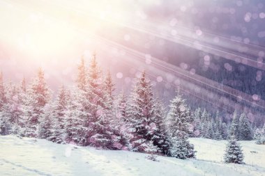 sihirli kış manzarası