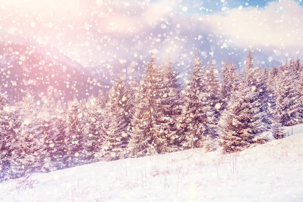 Чарівний зимовий пейзаж — стокове фото