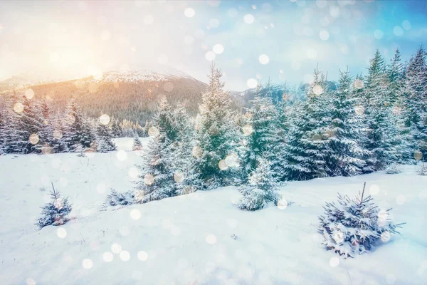 Magico paesaggio invernale — Foto Stock