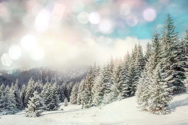 魔法の冬の風景 — ストック写真