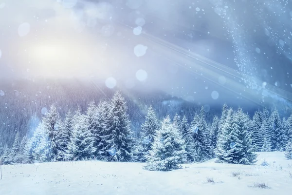 Magical winter landscape — Stock Photo, Image