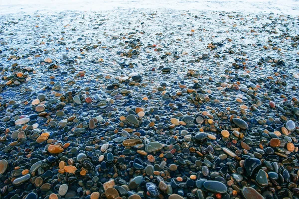 Pebbles Sea Coast — Stock Photo, Image