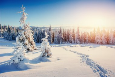 Fantastik kış manzarası ve yıpranmış iz dağlara giden. Gün batımı. Tatil beklentisiyle. Karpat, Ukrayna, Europe.