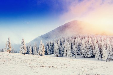 Fantastik kış manzarası ve yıpranmış iz dağlara giden. Gün batımı. Tatil beklentisiyle. Karpat, Ukrayna, Europe.