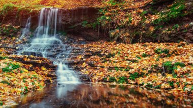 Şelale sonbahar güneş ışığı altında
