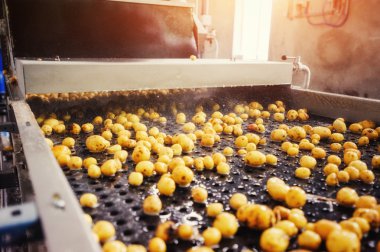 Ambalaj için hazırlanan bir Konveyör bant üzerine temizlenmiş patates