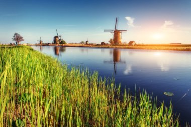 Rotterdam kanaldan geleneksel Hollanda yel değirmenleri. Hollanda.