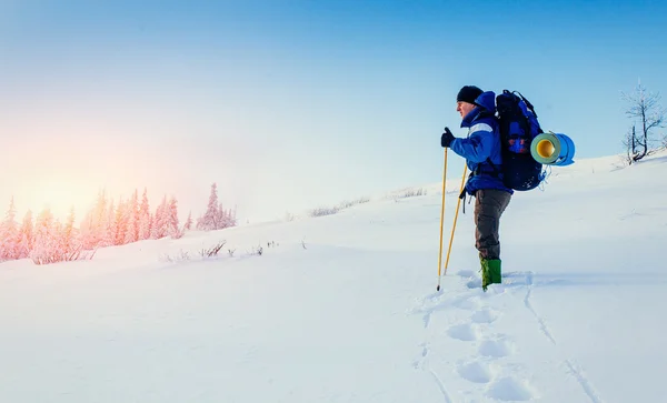 Турист Зимних Горах — стоковое фото