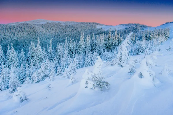 Fantastiska Vinterlandskap Bergen Ukraina Väntan Semestern Karpaterna Europa — Stockfoto