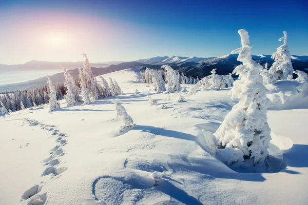 Paysage Hivernal Fantastique Sentier Usé Menant Dans Les Montagnes Coucher — Photo