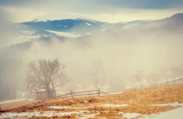 Poslední Dny Zimy Horách Ukrajiny Hustá Mlha Karpaty Evropa — Stock fotografie