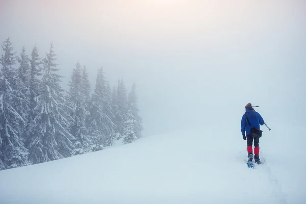 Турист Зимових Горах — стокове фото