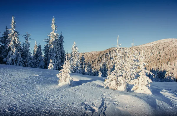 Fantastik Kış Manzarası Yıpranmış Dağlara Giden Gün Batımı Tatil Beklentisiyle — Stok fotoğraf