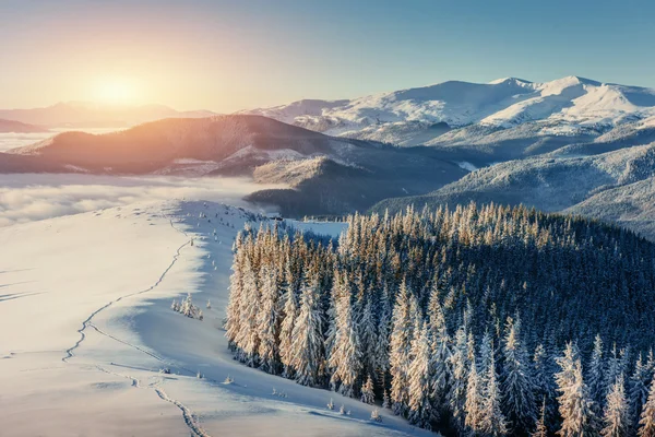 Fantástica Paisagem Inverno Trilha Desgastada Que Leva Montanhas Pôr Sol — Fotografia de Stock