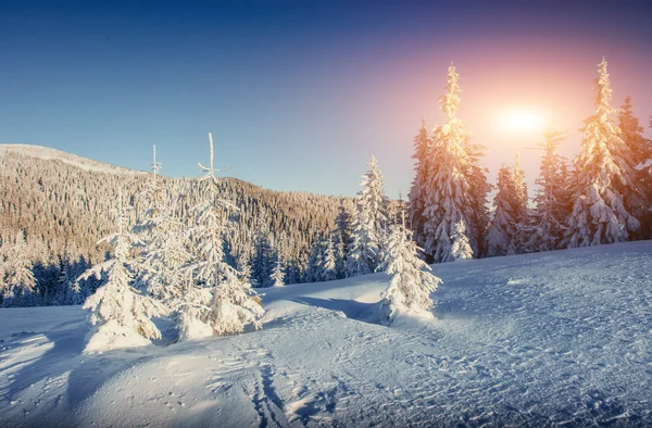 Fantástico Paisaje Invernal Sendero Desgastado Que Conduce Las Montañas Puesta —  Fotos de Stock