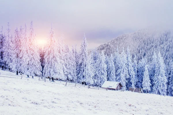Cabana Nas Montanhas Inverno Nevoeiro Misterioso Antecipação Férias Cárpatos Ucrânia — Fotografia de Stock