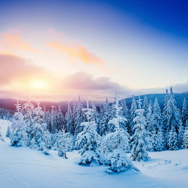 Fantástico Paisaje Invernal Sendero Desgastado Que Conduce Las Montañas Puesta —  Fotos de Stock