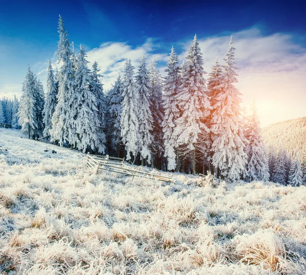 Fantástico Paisaje Invernal Sendero Desgastado Que Conduce Las Montañas Puesta —  Fotos de Stock