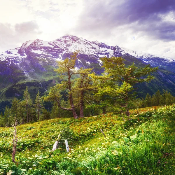 View Misty Fog Mountains Autumn Carpathians Ukraine — Stock Photo, Image