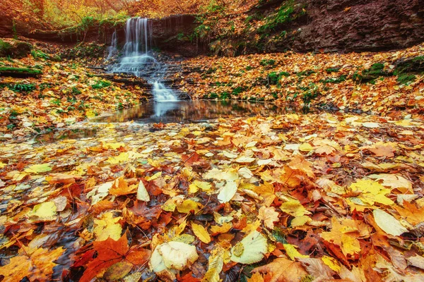 Wasserfall Herbstsonnenlicht — Stockfoto