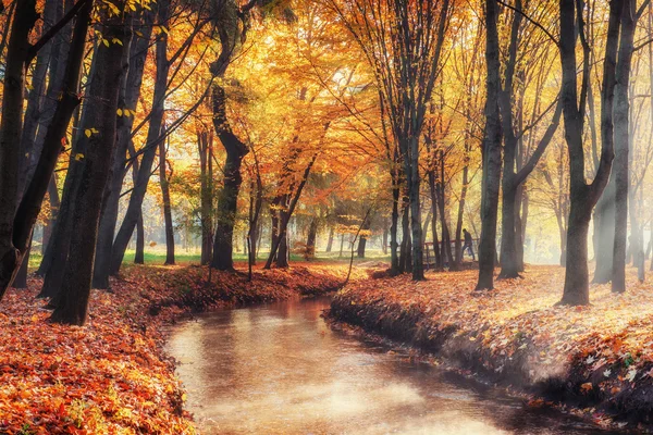 Paseo Puente Sobre Río Con Árboles Colores Otoño — Foto de Stock