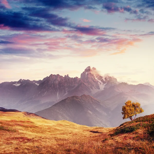 Nebbia Fitta Sul Passo Del Calice Georgia Svaneti Europa Montagne — Foto Stock