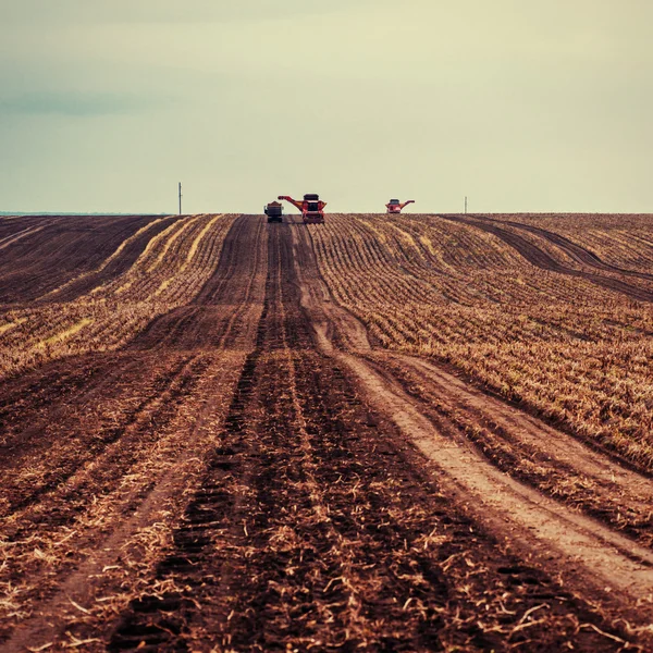 Tractores que trabajan en el campo —  Fotos de Stock