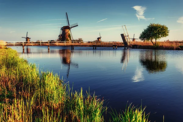 Hagyományos holland szélmalmok Rotterdam a csatornáról. Hollandia. — Stock Fotó