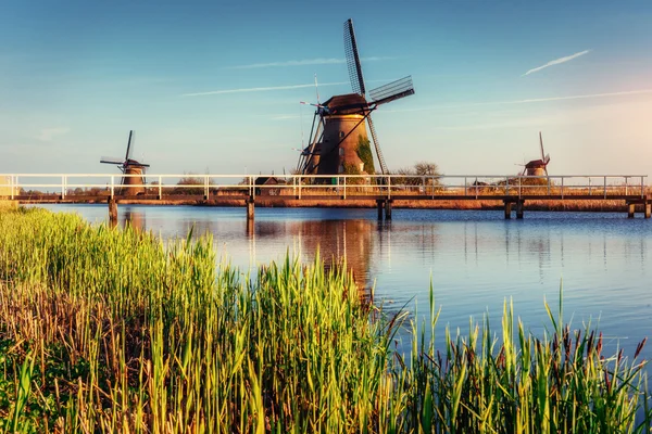 Hagyományos holland szélmalmok Rotterdam a csatornáról. Hollandia. — Stock Fotó