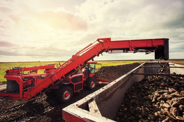 Landwirtschaftliche Fahrzeuge bei der Zuckerrübenernte — Stockfoto