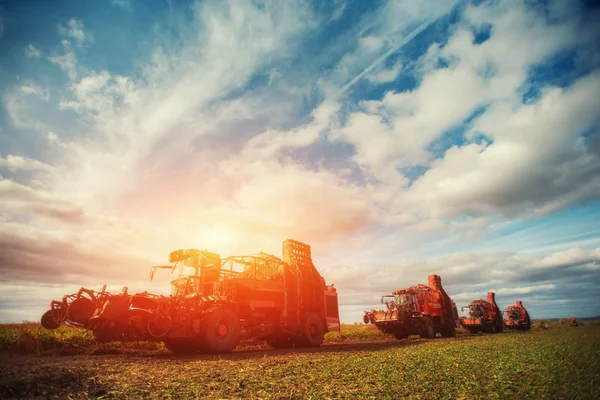 Truck and Excavator harvest off. — Stock Photo, Image