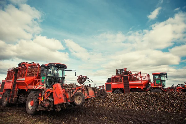 Tractors working in the field — Stock Photo, Image