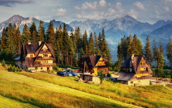 Tradiční dřevěná chata v horách na zelené louce — Stock fotografie