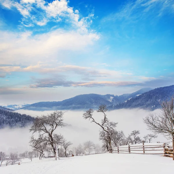 Kışın dağlar — Stok fotoğraf