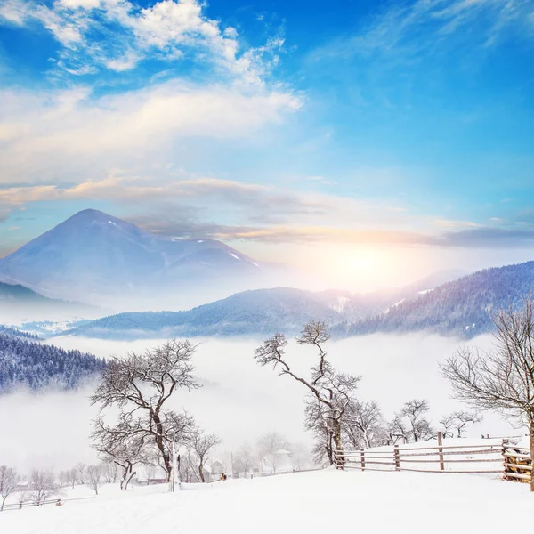 Montanhas no inverno — Fotografia de Stock