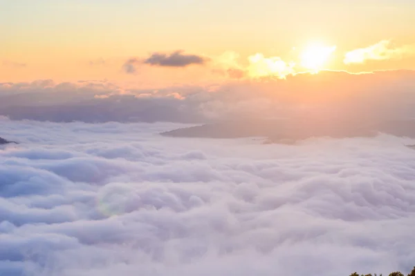 Fantastischer Nebel — Stockfoto