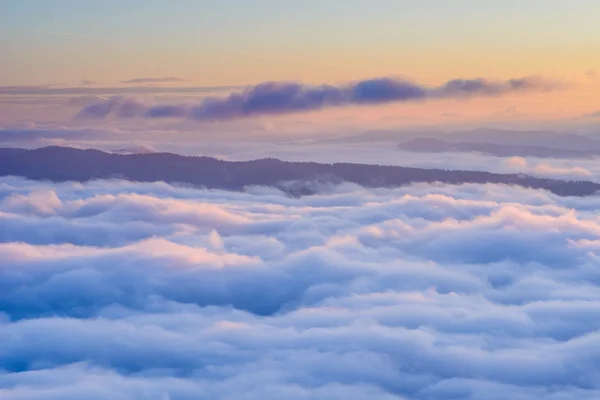 Фантастический туман — стоковое фото