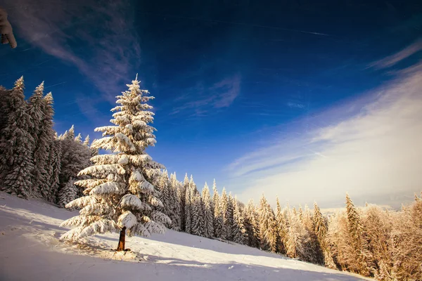 Montanha da neve — Fotografia de Stock