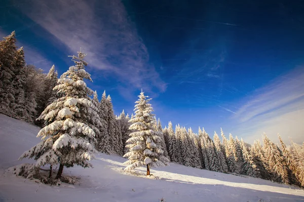 Snow mountain — Stock Photo, Image