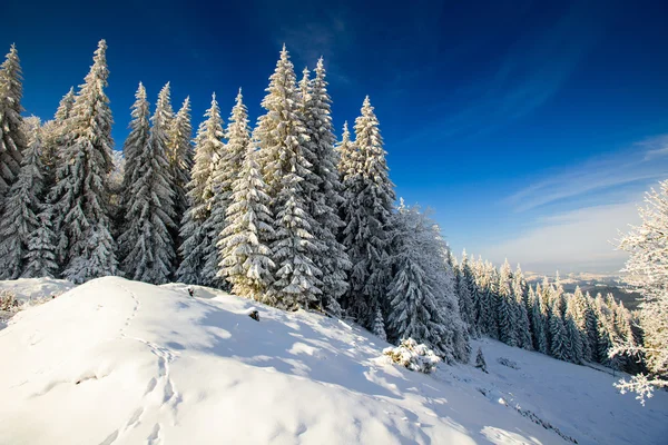 Snow mountain — Stock Photo, Image