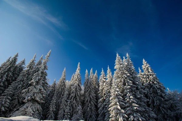 Montagne de neige — Photo